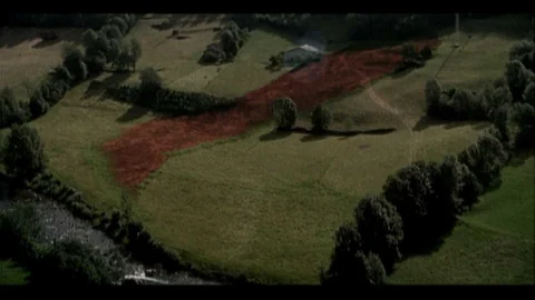 HP FTD "Flowers"