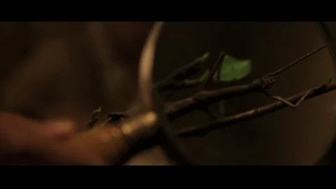 Master & Commander - Far Side of the World